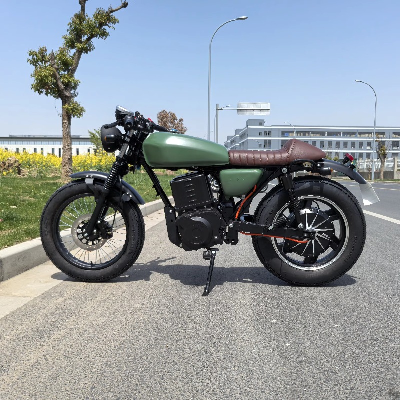 Krono Wild Chinese Prices Big  - Motorcycle Chain review and price