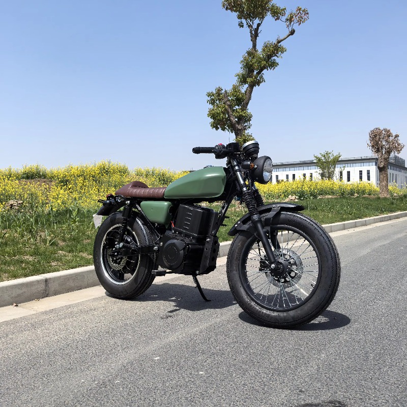 Krono Wild Chinese Prices Big  - Motorcycle Chain review and price