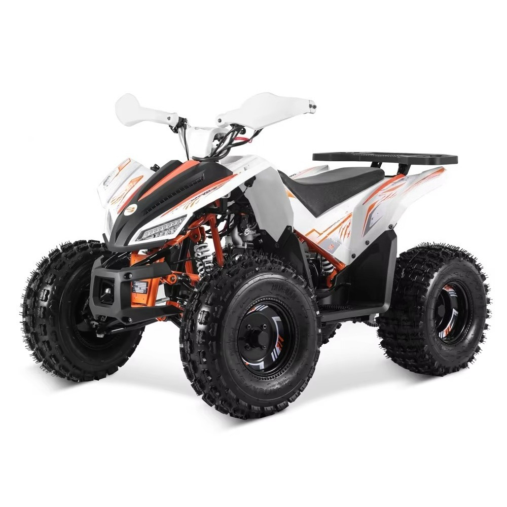 Stlf Tao Motor 2026 New Sport  - Bike Chain review and price